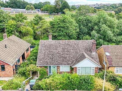 Picture 11